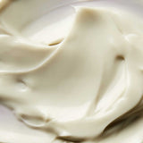 Superfood Day Cream